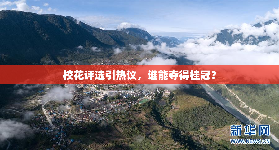 校花评选引热议，谁能夺得桂冠？
