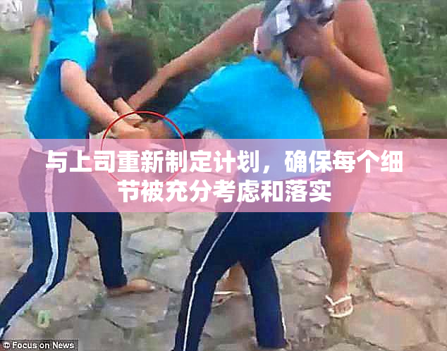 与上司重新制定计划，确保每个细节被充分考虑和落实