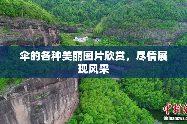 伞的各种美丽图片欣赏，尽情展现风采