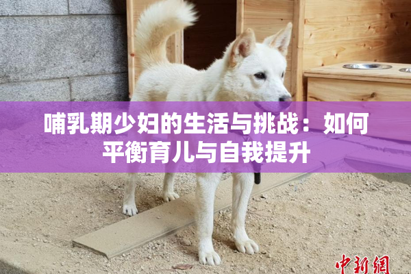 哺乳期少妇的生活与挑战：如何平衡育儿与自我提升