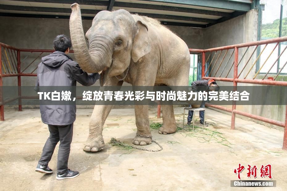 TK白嫩，绽放青春光彩与时尚魅力的完美结合