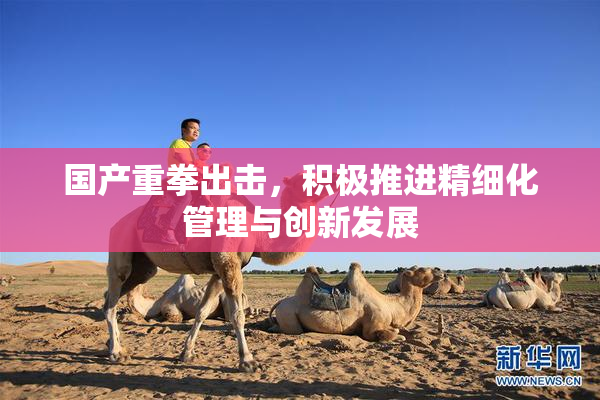 国产重拳出击，积极推进精细化管理与创新发展