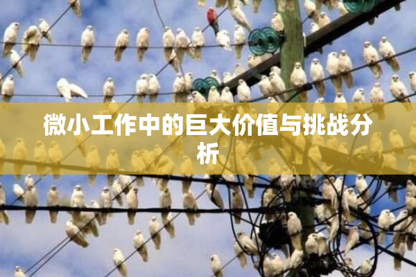 微小工作中的巨大价值与挑战分析