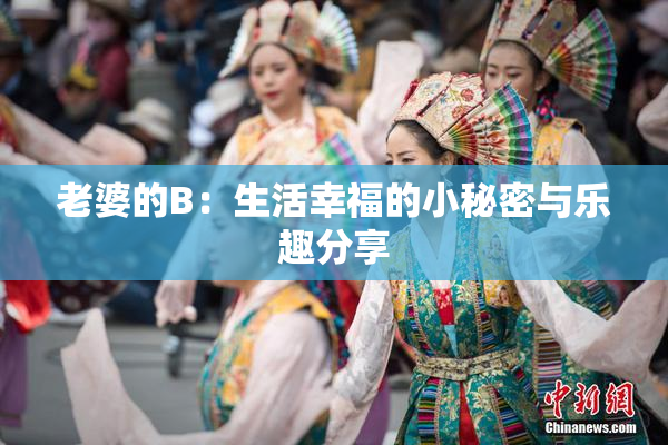 老婆的B：生活幸福的小秘密与乐趣分享