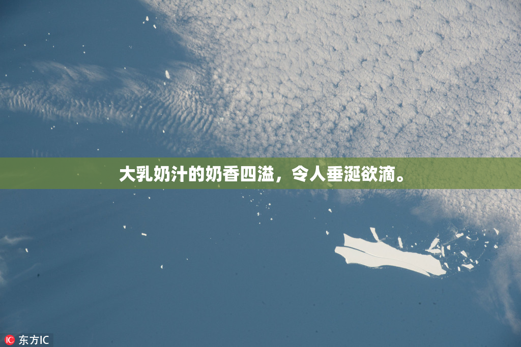 大乳奶汁的奶香四溢，令人垂涎欲滴。