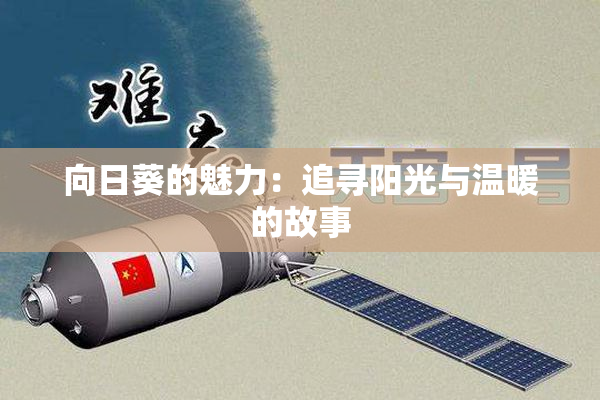 向日葵的魅力：追寻阳光与温暖的故事