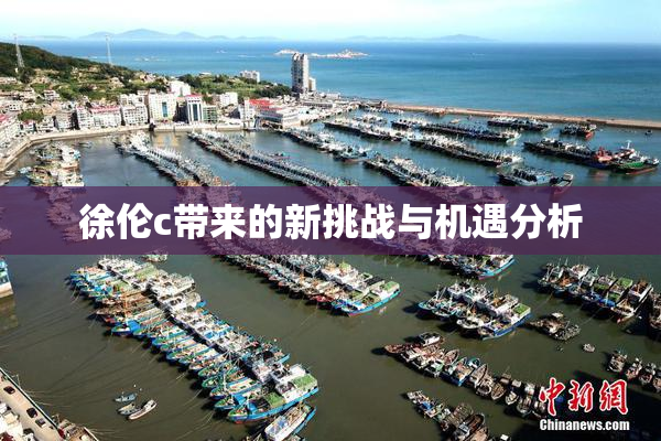 徐伦c带来的新挑战与机遇分析