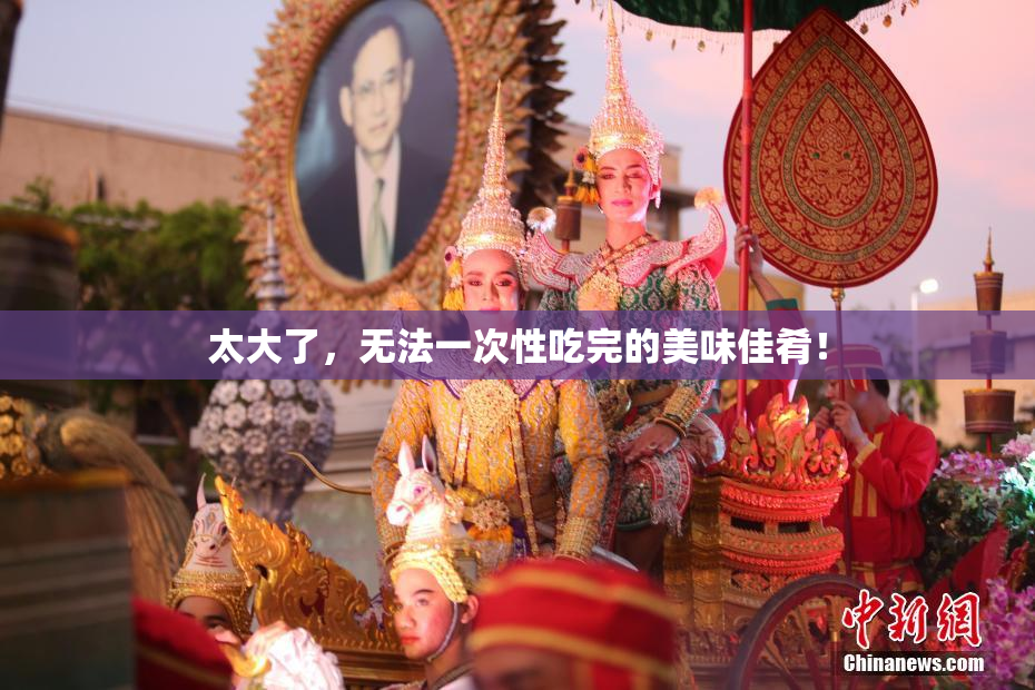 太大了，无法一次性吃完的美味佳肴！