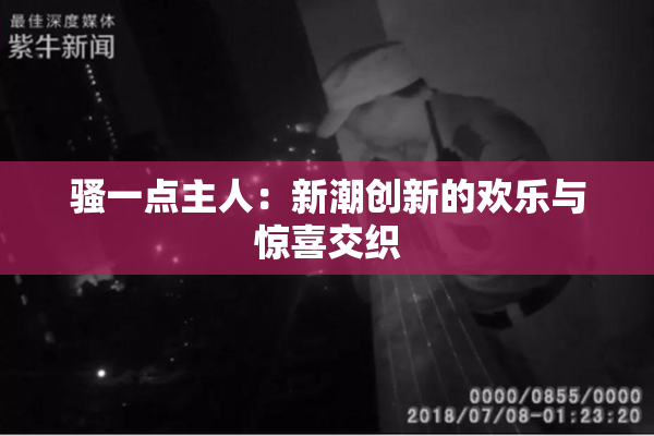 骚一点主人：新潮创新的欢乐与惊喜交织