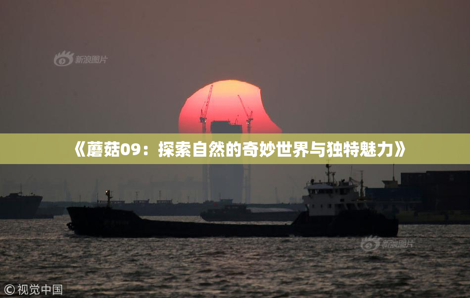 《蘑菇09：探索自然的奇妙世界与独特魅力》