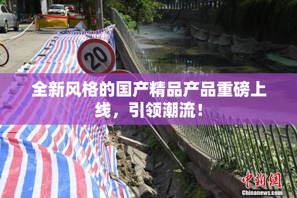 全新风格的国产精品产品重磅上线，引领潮流！