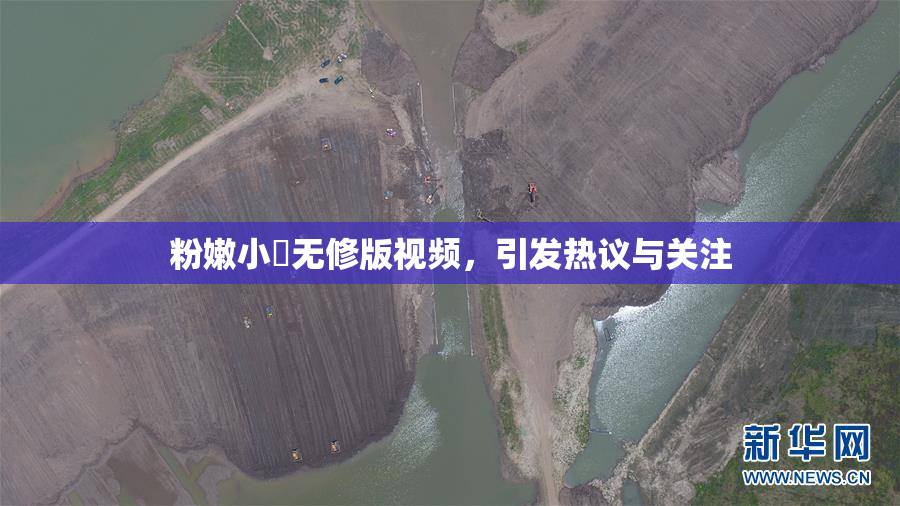 粉嫩小泬无修版视频，引发热议与关注