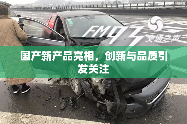 国产新产品亮相，创新与品质引发关注