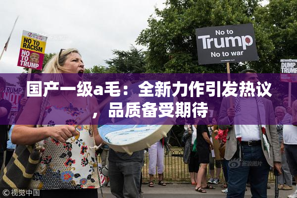 国产一级a毛：全新力作引发热议，品质备受期待