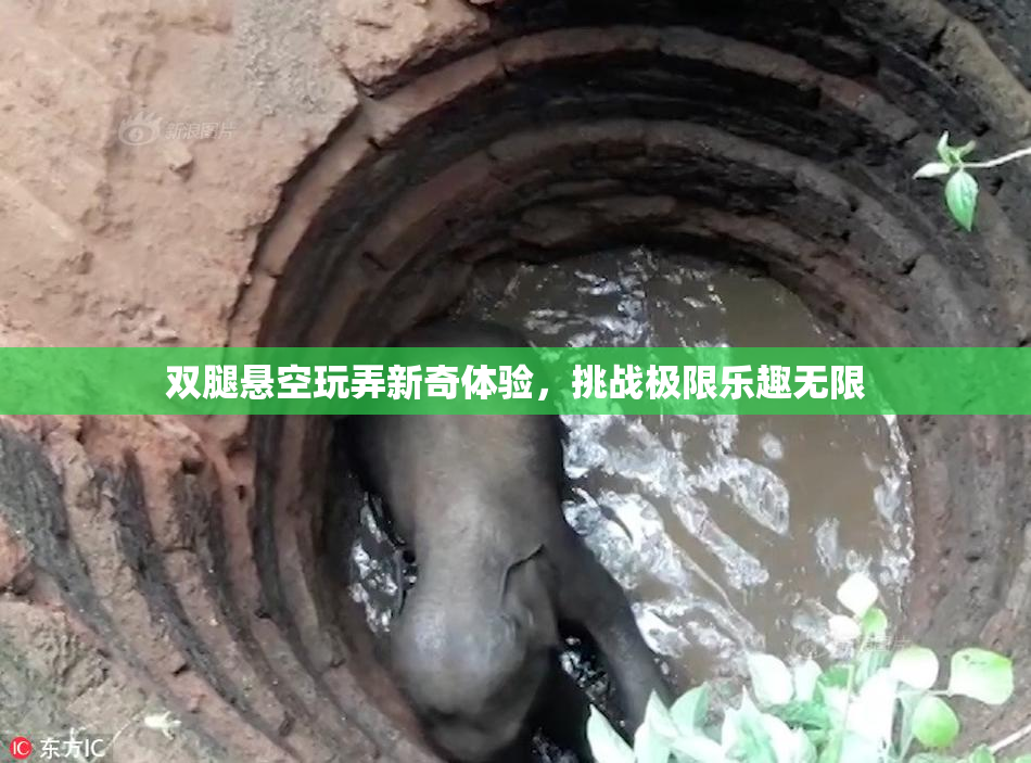 双腿悬空玩弄新奇体验，挑战极限乐趣无限