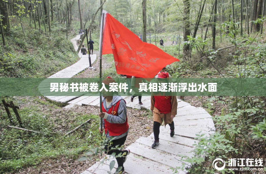 男秘书被卷入案件，真相逐渐浮出水面