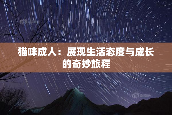 猫咪成人：展现生活态度与成长的奇妙旅程