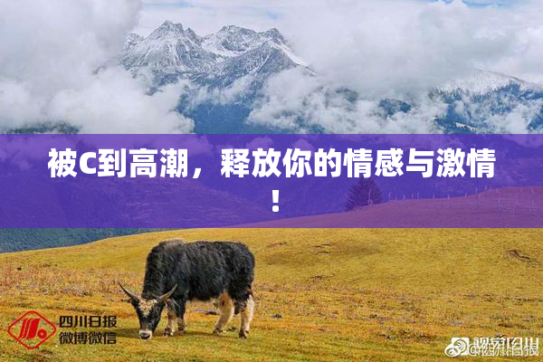 被C到高潮，释放你的情感与激情！