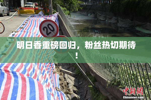 明日香重磅回归，粉丝热切期待！