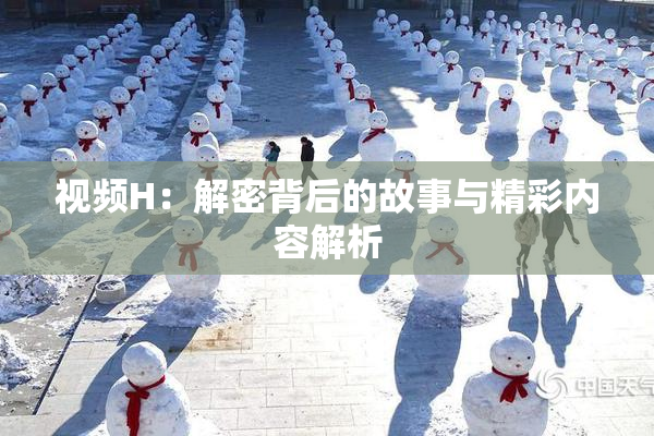 视频H：解密背后的故事与精彩内容解析
