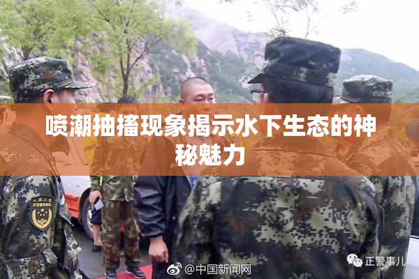 喷潮抽搐现象揭示水下生态的神秘魅力