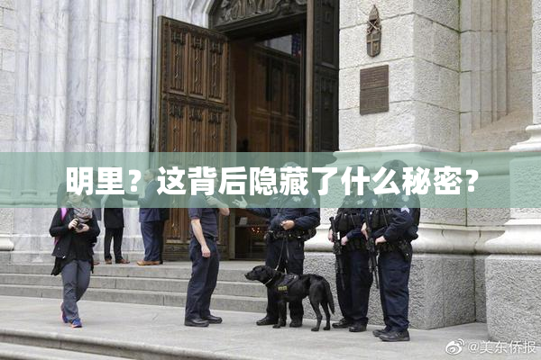 明里？这背后隐藏了什么秘密？