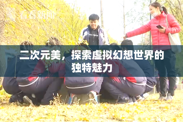 二次元美，探索虚拟幻想世界的独特魅力