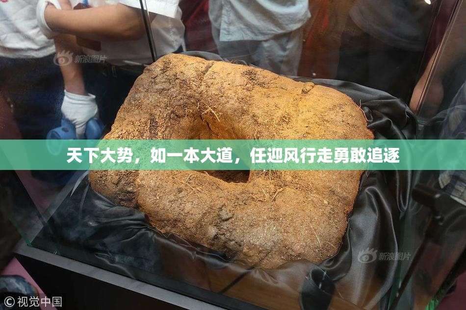 天下大势，如一本大道，任迎风行走勇敢追逐