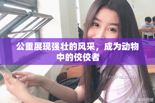 公重展现强壮的风采，成为动物中的佼佼者