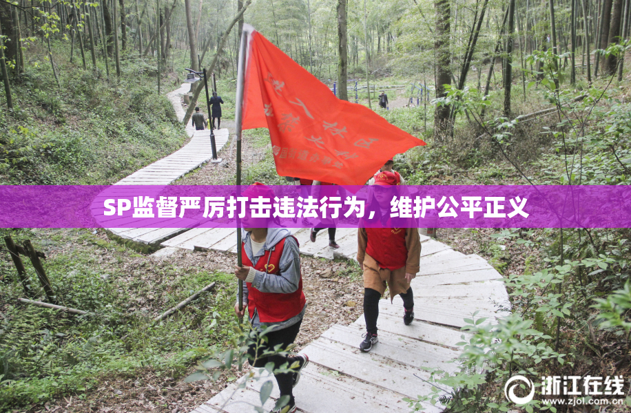 SP监督严厉打击违法行为，维护公平正义