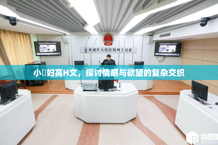 小婬妇高H文，探讨情感与欲望的复杂交织