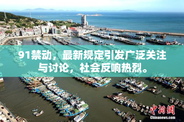 91禁动，最新规定引发广泛关注与讨论，社会反响热烈。