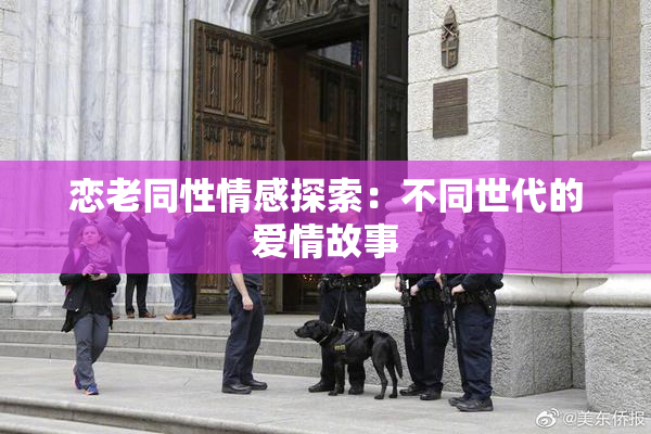 恋老同性情感探索：不同世代的爱情故事