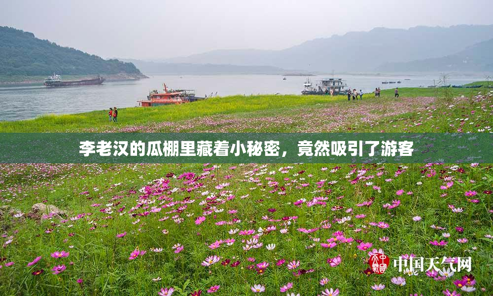 李老汉的瓜棚里藏着小秘密，竟然吸引了游客