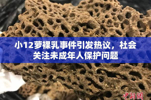 小12萝裸乳事件引发热议，社会关注未成年人保护问题