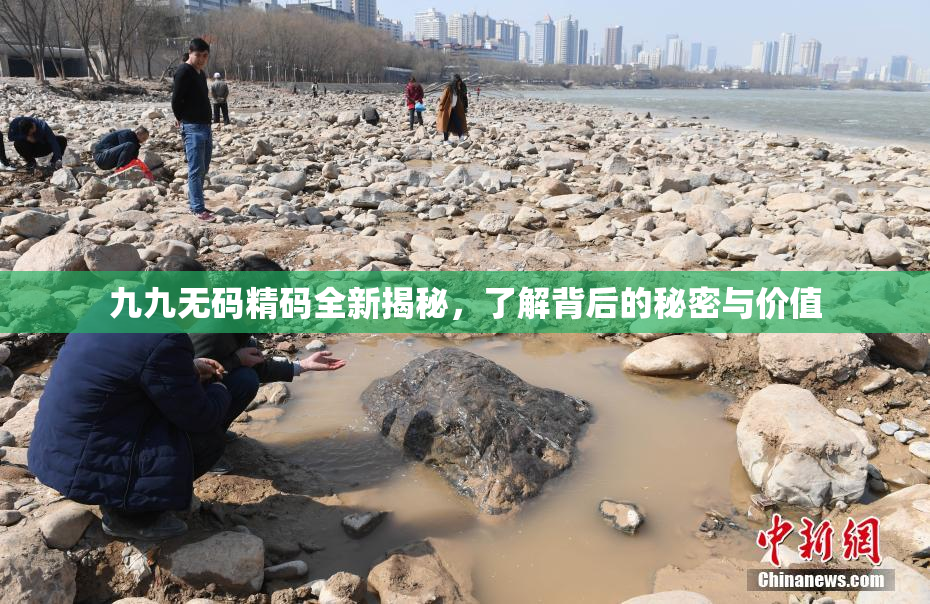 九九无码精码全新揭秘，了解背后的秘密与价值