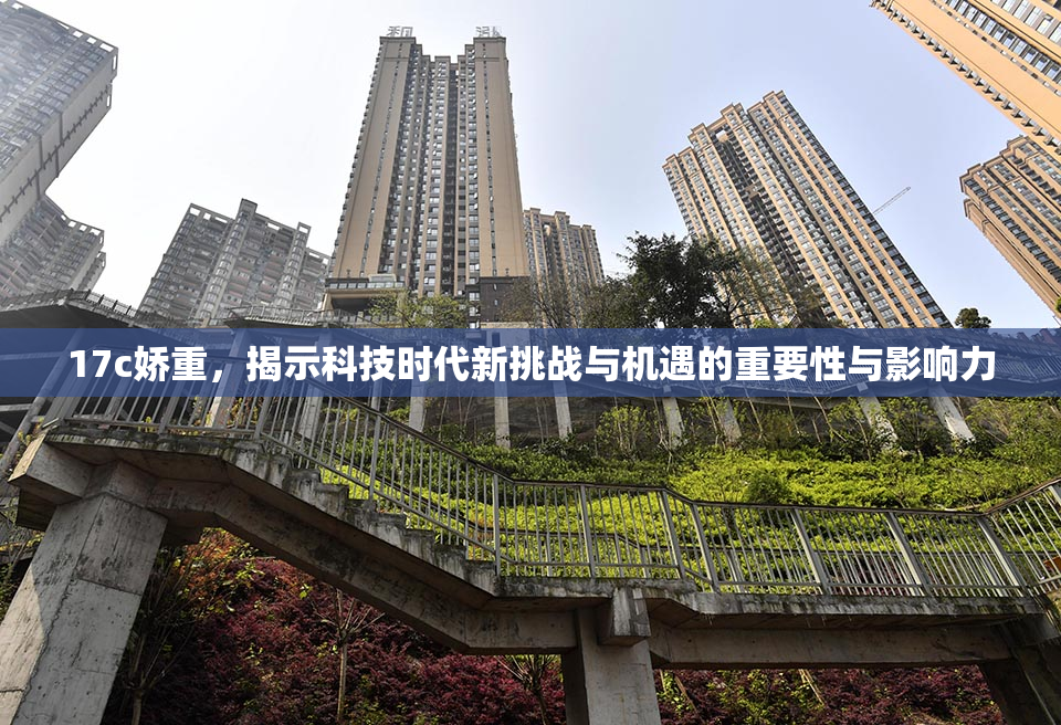 17c娇重，揭示科技时代新挑战与机遇的重要性与影响力