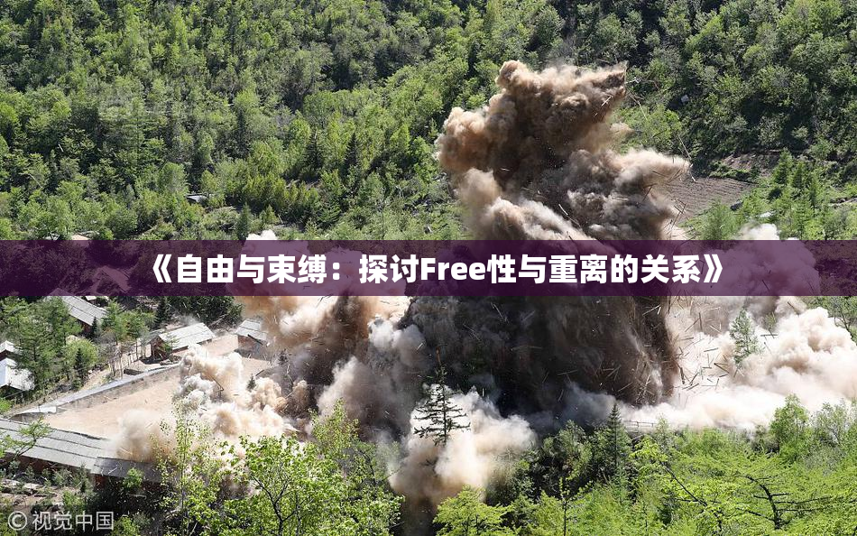 《自由与束缚：探讨Free性与重离的关系》