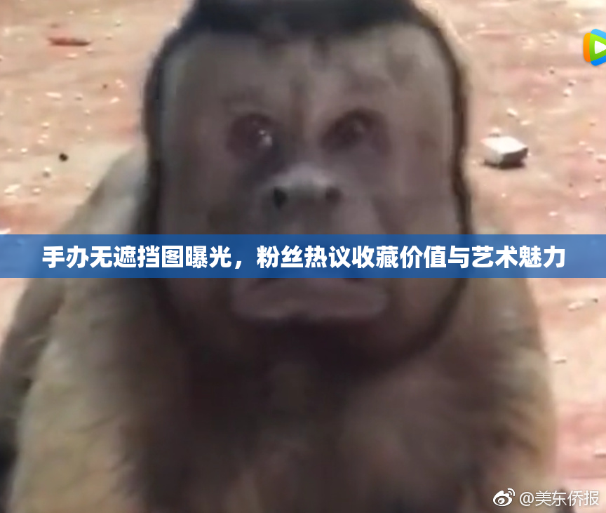 手办无遮挡图曝光，粉丝热议收藏价值与艺术魅力