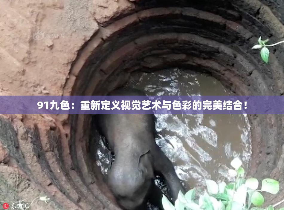 91九色：重新定义视觉艺术与色彩的完美结合！