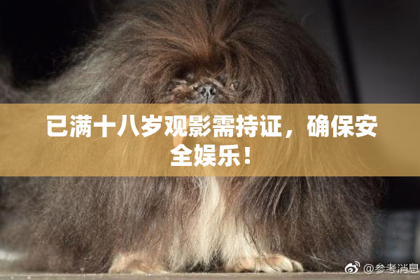 已满十八岁观影需持证，确保安全娱乐！