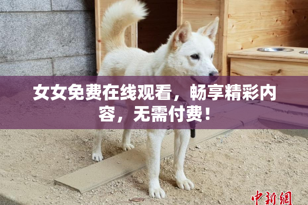 女女免费在线观看，畅享精彩内容，无需付费！
