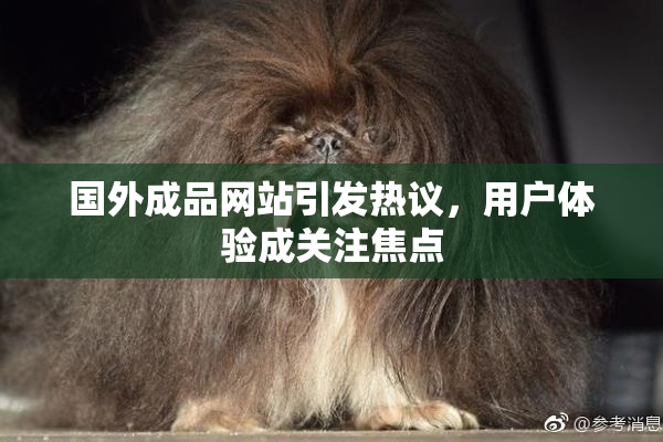 国外成品网站引发热议，用户体验成关注焦点
