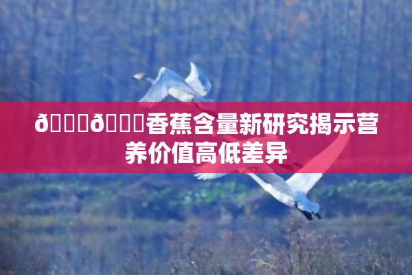 🔞🔞香蕉含量新研究揭示营养价值高低差异