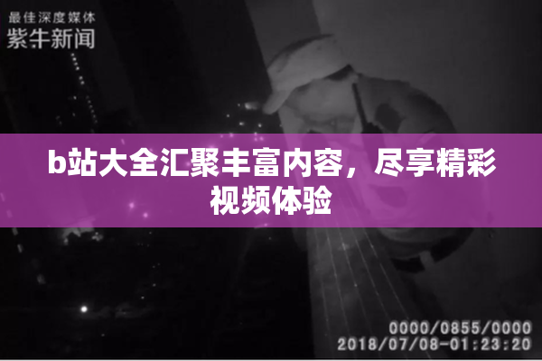 b站大全汇聚丰富内容，尽享精彩视频体验