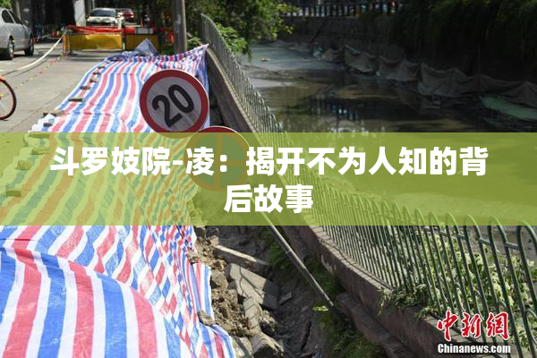 斗罗妓院-凌：揭开不为人知的背后故事