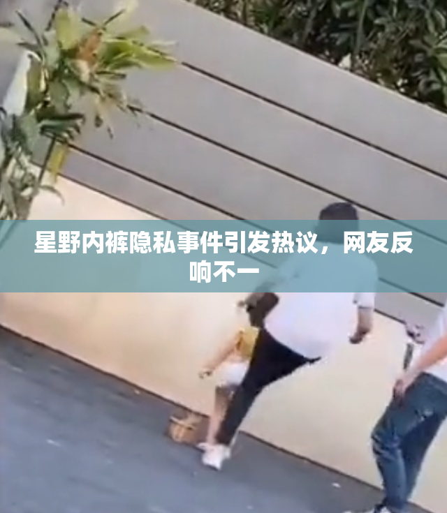 星野内裤隐私事件引发热议，网友反响不一