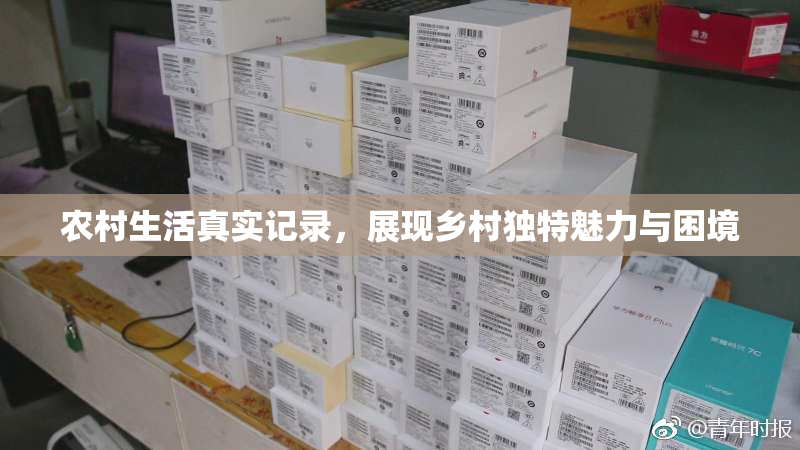 农村生活真实记录，展现乡村独特魅力与困境
