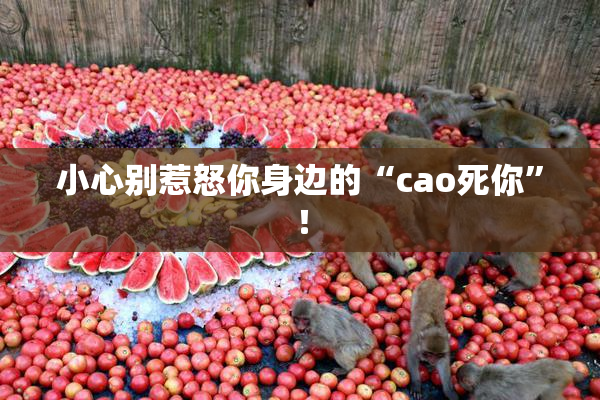 小心别惹怒你身边的“cao死你”！