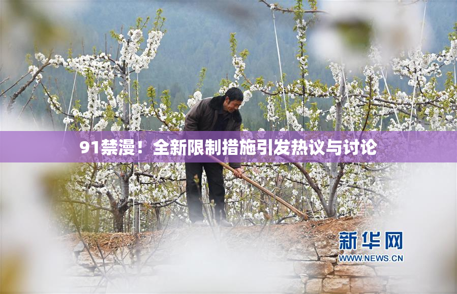 91禁漫！全新限制措施引发热议与讨论